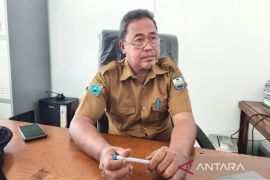 Realisasi tiga jenis pajak Kabupaten Manokwari lampaui 100 persen