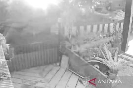 Terungkap! dentuman keras di Cianjur serta kilatan cahaya fenomena atmosfer dan geofisika