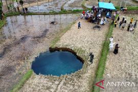 BPBD: Hingga kini pergerakan tanah terus terjadi di area sinkhole Lima puluh Kota