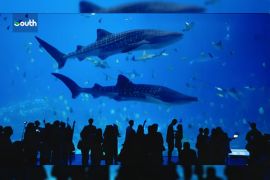 Kishore Mahbubani: Zhuhai reveals vision for future city