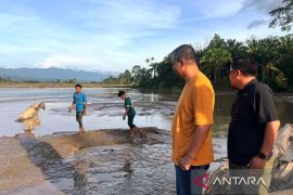Pemkab Nagan Raya kerahkan tim pantau gelembung diduga gas alam
