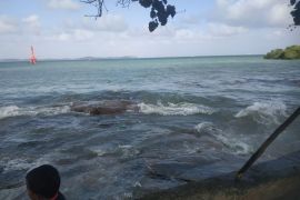 Tumpahan minyak cemari perairan Teluk Sasah-Bintan