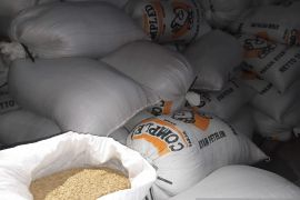 Panen bersama program Mandiri Benih Gapoktan Dungun Raya mencapai 6.062 kilogram padi