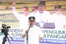 Gubernur: Sulbar surplus beras 70 ribu ton