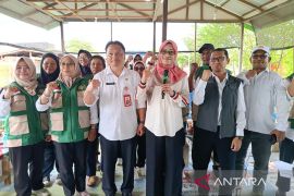 Pemprov Kaltim cetak 20.000 ha sawah di 2026 perkuat swasembada pangan