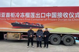 Durian beku Indonesia resmi beredar di pasar China