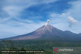 Enam kali erupsi, Semeru muntahkan abu vulkanik 900 meter