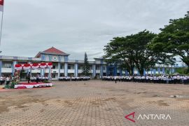 Manokwari kaji ulang pembiayaan tenaga honorer