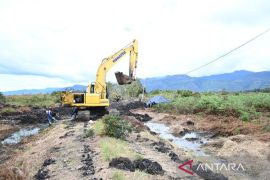 Pemprov Papua Pegunungan pastikan percepatan PSN berjalan optimal