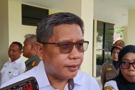 Pemkot Ambon kembangkan padi gogo 12 hektare dukung ketahanan pangan