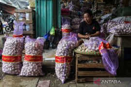 Harga cabai merah Rp32.815, bawang putih Rp37.896 per kg pagi ini