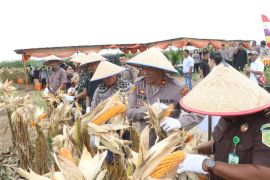 Kapolri pimpin panen raya jagung di Simalungun melalui zoom call