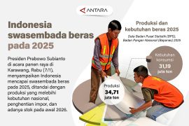 Indonesia swasembada beras pada 2025