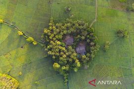 Menengok aktivitas petani memupuk sawah di Sri Lanka