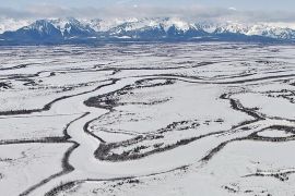 Pakar meminta dunia serius menyikapi ancaman Trump soal Greenland
