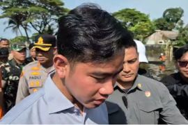 Wapres Tinjau Wilayah Terdampak Banjir di Balangan dan Banjar