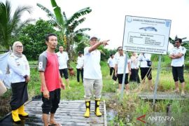 Kalsel kemarin dari program jalan dan jembatan hingga Kampung Haruan
