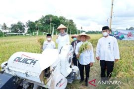 Banyuwangi catat produksi beras 2025 capai 546 ribu ton