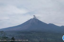 Gunung Semeru hari Kamis ini erupsi dengan material letusan setinggi 700 meter