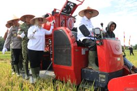 Pemprov Kalbar siap mewujudkan kemandirian pangan