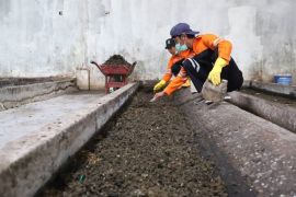 Budi daya maggot di ITF Jatiuwung sukses olah 15 ton sampah sehari