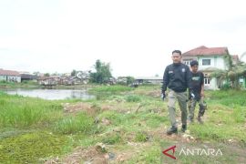 Banjarmasin perluas kawasan resapan air untuk pengendali banjir