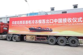 Indonesia's frozen durian officially enters China via Qinzhou Port