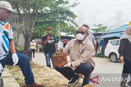 Pemkot Sorong tanam 650 batang pohon untuk hijaukan kota