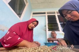 Produksi kopi Kuningan capai 1.236 ton pada 2025