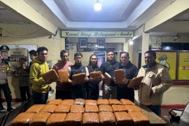 Polres Sarolangun gagalkan peredaran 42 kg ganja lintas provinsi