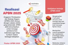 Realisasi APBN 2025