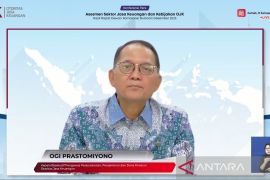 OJK menyetujui pembentukan konsorsium asuransi kredit pinjaman daring