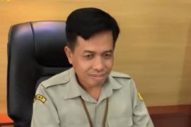 BRMP Maluku perkuat sistem pertanian untuk tingkatkan produksi beras