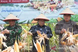 Pemkab Kubu Raya kembangkan pertanian Jagung dukung ketahanan pangan nasional