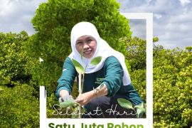 Khofifah ajak masyarakat jaga alam lewat tanam dan rawat pohon