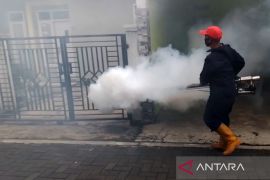Vaksin dengue, ikhtiar baru lindungi anak-anak dari ancaman DBD