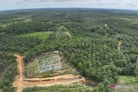 Bank Tanah dampingi warga terdampak PSN kelola lahan reforma agraria