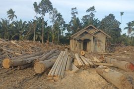 Kemenhut: 1.260 meter kubik kayu terbawa banjir didata bagi pemanfaatan di Aceh Utara