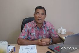 DPPAKB: Faktor ekonomi memicu KDRT di Pangkalpinang tinggi