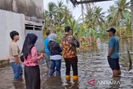 DPRD Banjarmasin tinjau daerah banjir belum kunjung surut