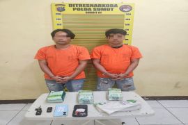 Polda Sumut menyelidiki jaringan peredaran 2,5 kilogram zat keytamine