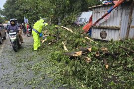 Pohon besar tumbang di Perintis Kemerdekaan Makassar sebabkan macet panjang