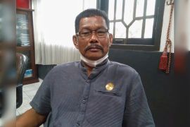 Legislator Kapuas dukung pembangunan jalan penghubung Selat Hulu-Selat Utara