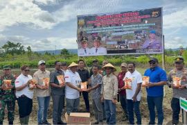 Pemprov Papua tanam jagung perkuat ketahanan pangan lokal