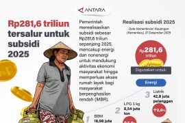 Rp281,6 triliun tersalurkan untuk subsidi 2025