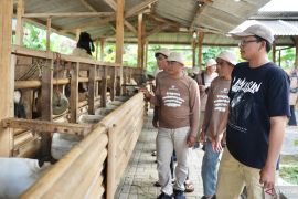 Bank Tanah gelar pelatihan pertanian dan peternakan di Cianjur