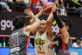 Dukungan swasta perkuat IBL hingga 2026