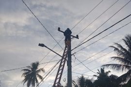 PLN Palu pulihkan jaringan listrik dampak bencana banjir dan longsor