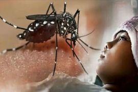 Dinkes ingatkan warga berperan aktif dalam pemberantasan sarang nyamuk lewat 3M