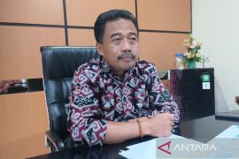 Bulog salurkan 19.817 ton beras SPHP di Papua pada 2025